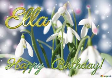 Happy Birthday! Ella Spring Flower Cards