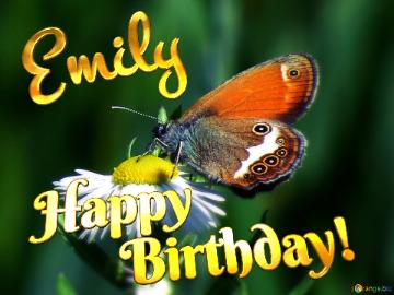 Emily Happy Birthday! Butterfly on flower  profile image