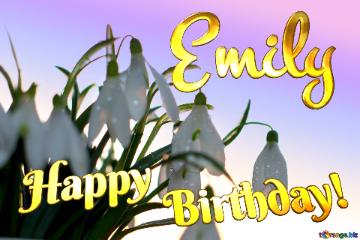 Emily Happy Birthday! For The Desktop Background Wallpaper Spring Snowdrop