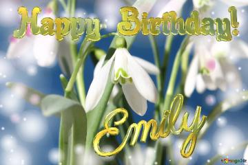 Happy  Birthday! Emily   Flowers  Spring Background