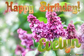 Evelyn Happy Birthday! Blooming Lilac Background