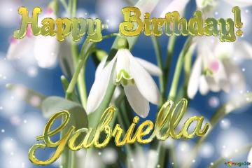 Happy Birthday! Gabriella Spring Flowers