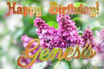 Genesis Happy Birthday! Blooming Lilac Background