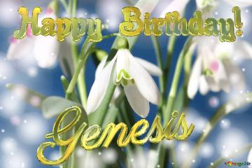 Happy Birthday! Genesis Spring Flowers Flowers  Spring Background