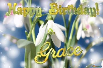 Happy Birthday! Grace Spring Flowers Flowers  Spring Background