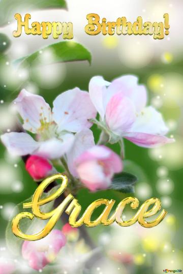 Grace Happy Birthday! Macro flower Apple background