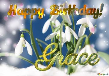 Happy Birthday! Grace Spring Flower Cards