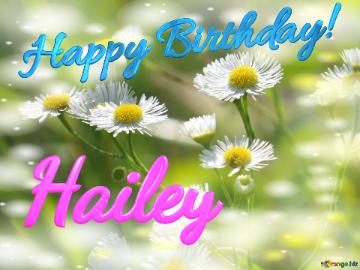 Hailey Happy Birthday! Daisies Bokeh Background