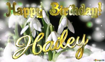 Happy  Birthday! Hailey   Spring Backgrounds With First Flower