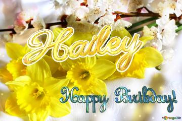 Hailey Happy Birthday! Spring Flowers Bouquet
