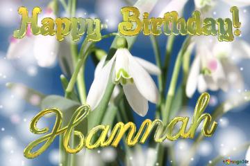 Happy Birthday! Hannah Spring Flowers