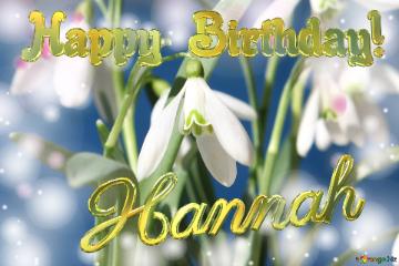 Happy  Birthday! Hannah   Flowers  Spring Background
