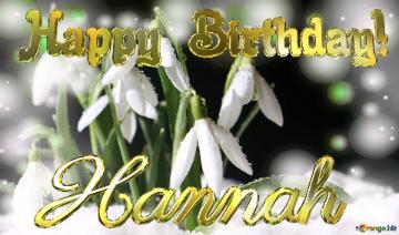 Hannah Happy Birthday! Spring Backgrounds With First Flower