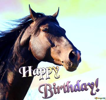 Happy birthday with horses images