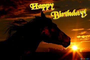 Horse Sunset Happy Birthday! Horse silhouette on sunset.