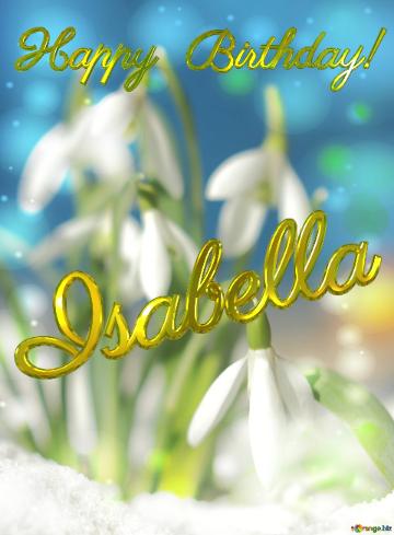 Happy Birthday! Isabella Spring Flowers Beautiful Spring  Flowers Bokeh Background