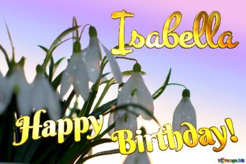 Happy Birthday! Isabella