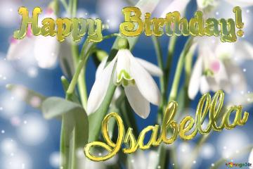 Happy Birthday! Isabella Spring Flowers Flowers  Spring Background