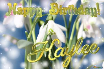 Happy Birthday! Kaylee Spring Flowers