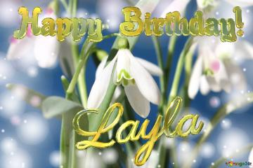 Happy Birthday! Layla Spring Flowers Flowers  Spring Background