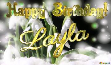 Layla Happy Birthday! Spring Backgrounds With First Flower