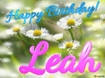 Leah Happy Birthday! Daisies Bokeh Background