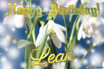 Happy Birthday! Leah Spring Flowers