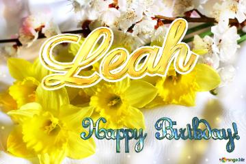 Happy Birthday! Leah Spring flowers bouquet