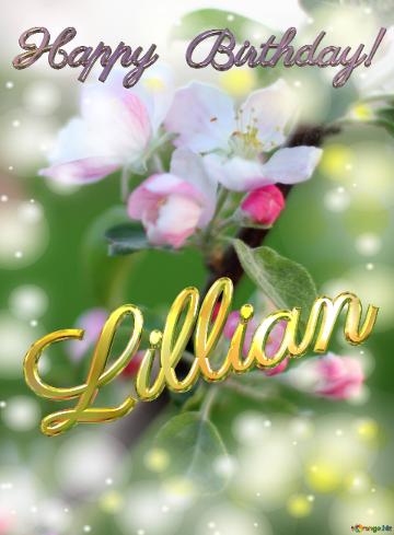 Lillian Happy Birthday! Flowers Of The Apple-tree Background