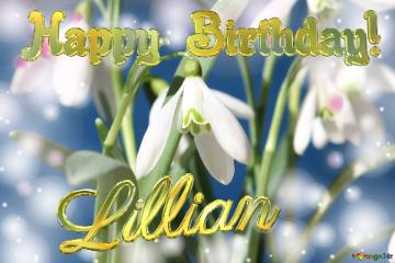 Happy Birthday! Lillian Spring Flowers Flowers  Spring Background