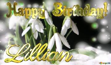 Lillian Happy Birthday! Spring Backgrounds With First Flower