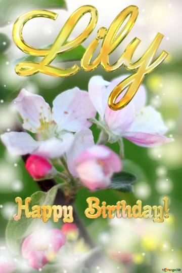 Happy Birthday! Lily Apple Flowers
