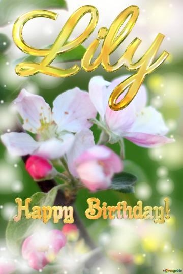 Lily Happy Birthday! Macro flower Apple background