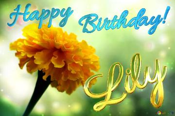 Lily Happy Birthday! Marigold Bokeh Background