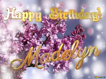 Madelyn Happy Birthday! Background Lilac Flowers