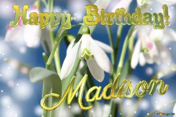 Happy Birthday! Madison Spring Flowers Flowers  Spring Background