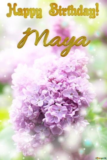 Maya Happy Birthday! Beautiful Lilac Flowers
