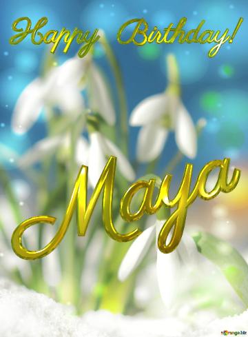 Happy Birthday! Maya Spring Flowers Beautiful Spring  Flowers Bokeh Background