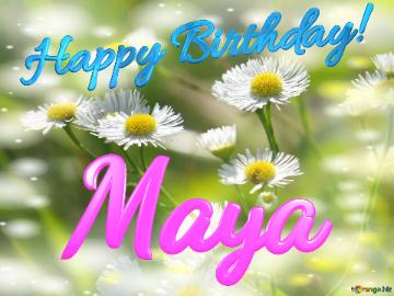 Maya Happy Birthday! Daisies Bokeh Background