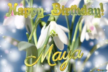Happy Birthday! Maya Spring Flowers Flowers  Spring Background
