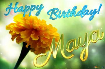 Happy Birthday! Maya Marigold Flower