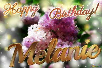 Melanie Happy    Birthday! Light Lilac Background