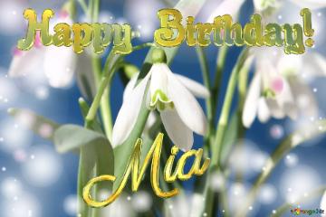 Happy  Birthday! Mia   Flowers  Spring Background