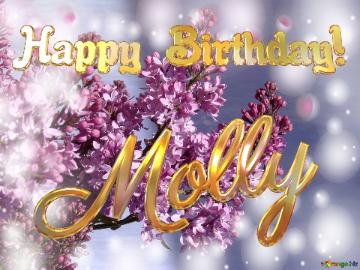 Molly Happy Birthday! Background Lilac Flowers