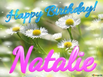 Natalie Happy Birthday! Daisies Bokeh Background