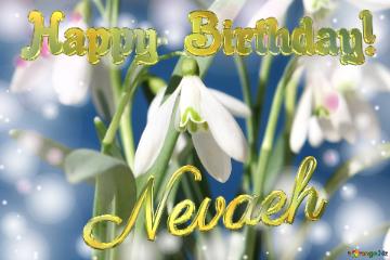 Happy Birthday! Nevaeh Spring Flowers