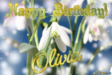 Happy Birthday! Olivia Spring Flowers Flowers  Spring Background