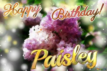 Paisley Happy    Birthday! Light Lilac Background