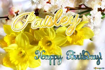 Paisley Happy Birthday! Spring flowers bouquet