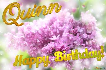 Quinn Happy Birthday! Lilac